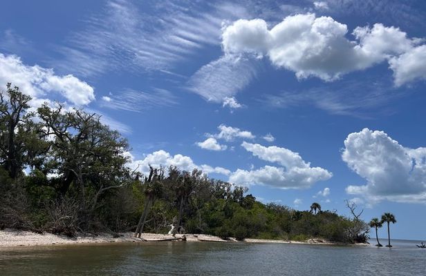 Eco Tour in Crystal River