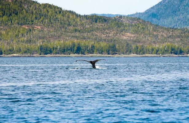 Ketchikans Favorite Cultural and Historical Sites
