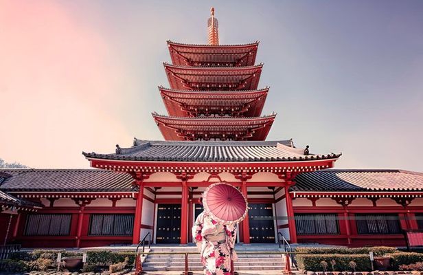 Best of Tokyo Guided Half Day City Tour with a local
