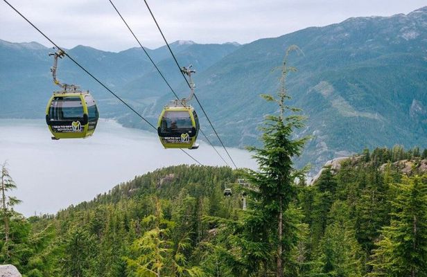 Vancouver: Half-Day Sea to Sky Gondola & Squamish Tour + Luggage