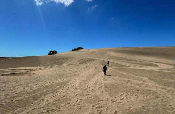 Sand Routes and Mirages Dunes of Baní and Immersion to the South