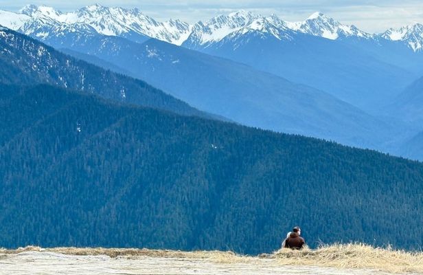 Touring Olympic National Park, Mountains, Lake, and Rainforest
