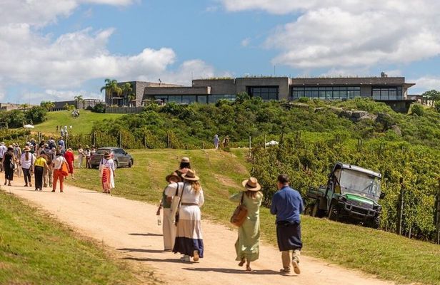 Bodega Garzon Wine Experience with Private Transfer
