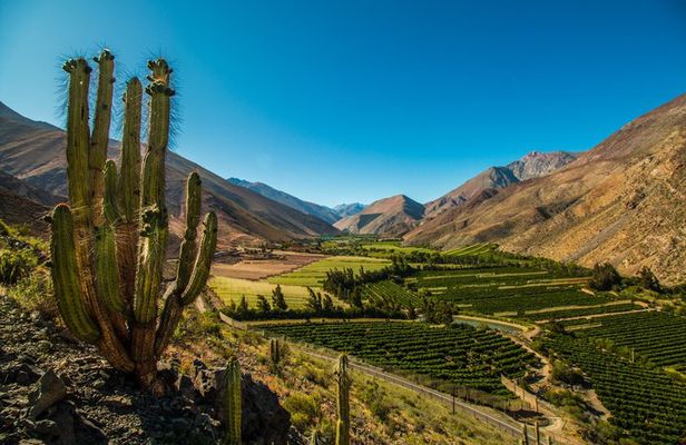 Elqui Valley Tour with Pisco Tasting and Lunch