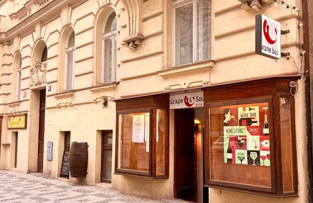Czech Local Wine Tasting in Grape & Sour
