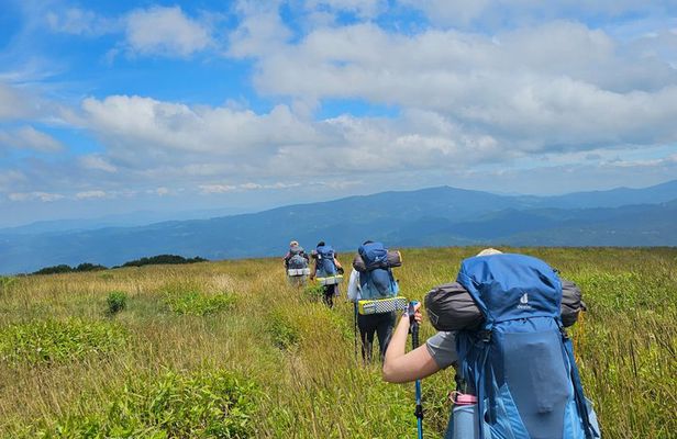 Beginner Hike and Workshop in Asheville