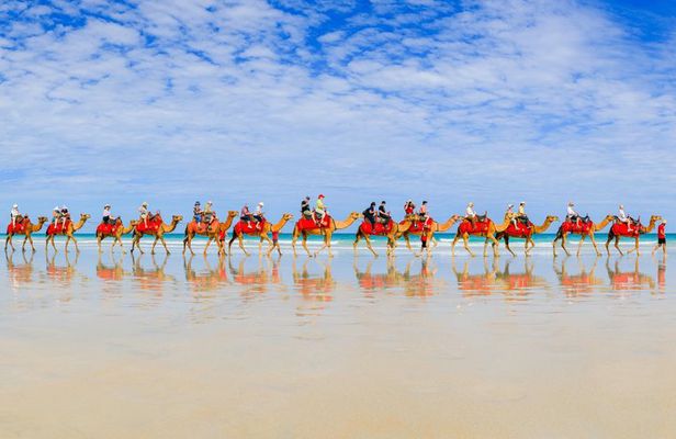 40 minute Magical Morning Camel Tour on Cable Beach, Broome