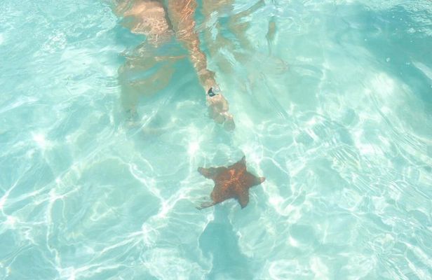 Tours Saona Paradise : 4 Beaches, Natural Pool and Turtles