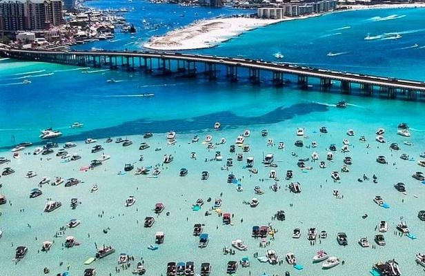Crab Island & Dolphin Cruise (IN WATER Sandbar Activities!!)