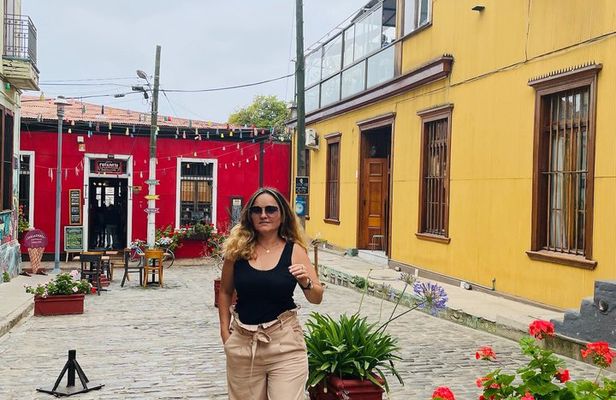 Valparaiso and Vina del Mar Classic Guided Tour Heritage Wealth