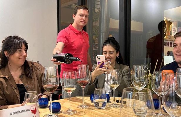 Wine Tasting Experience in Mendoza with a Sommelier Small Group