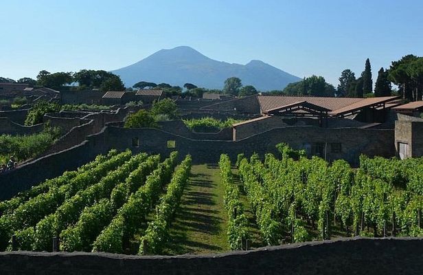 Pompeii Daily Roman Life Small-Group Tour with an Archaeologist