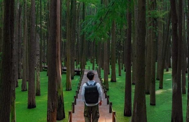 Shanghai Matcha Lake and West Lake Day Trip by Train
