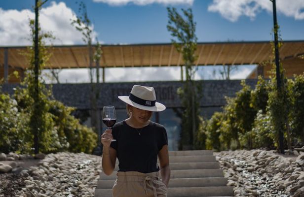 Winemaking Session in Buenos Aires with Catena Zapata