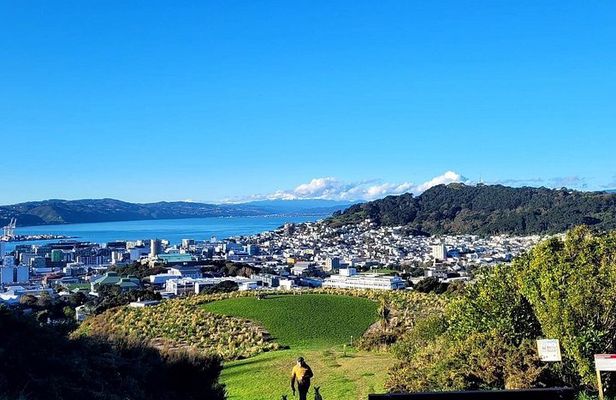 Wellington Trails, Coffee & Craft Beer