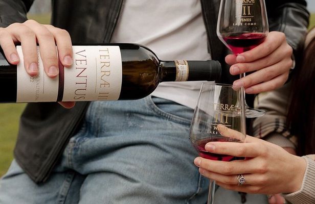 Bellagio Wine Tasting Experience with Lake Como Views