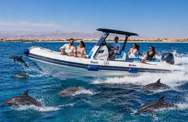 Hurghada Private Speed Boat Trip to Dolphin House & Snorkeling