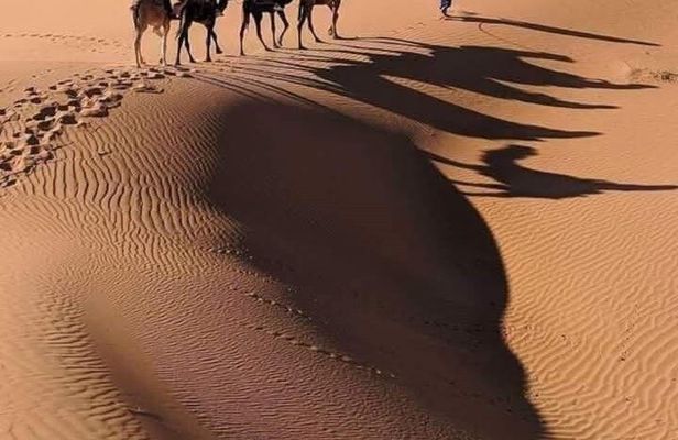 Merzouga Desert 2 Days of Dromedary Ouarzazate and Bivouac