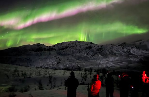 Northern Lights Tour 6 Seats Northern Lights Guarantee
