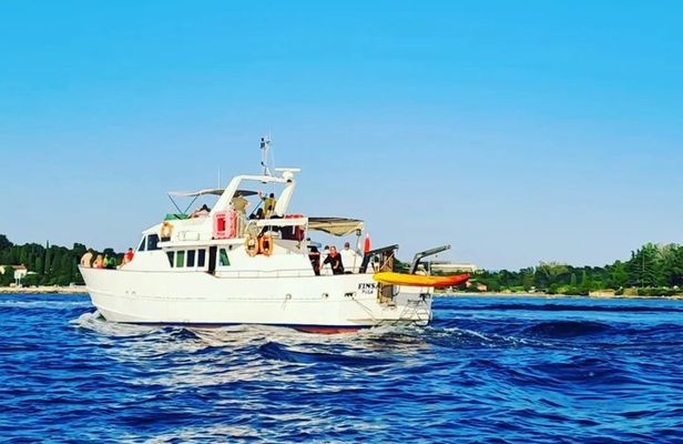 Sunset Cruise with Dolphin Spotting from Umag with Welcome Drink