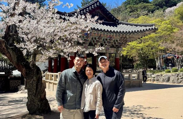 Private Gyeongju UNESCO Highlights Tour with Local Ryan