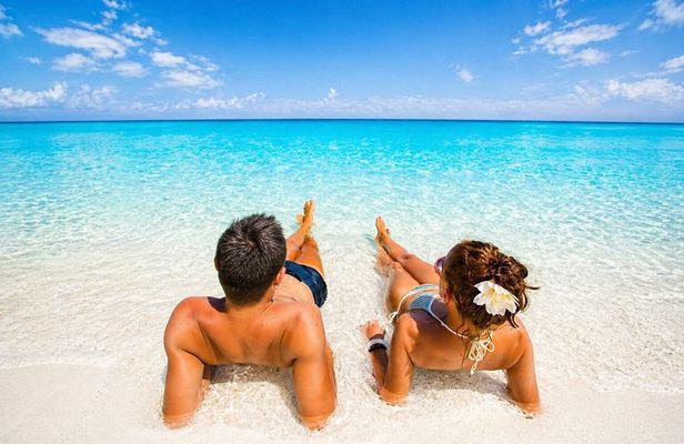 Marsa Alam Snorkeling Trip With Dugong And Turtles Marsa Mubarak