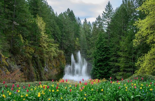 Victoria and Butchart Gardens Day Trip