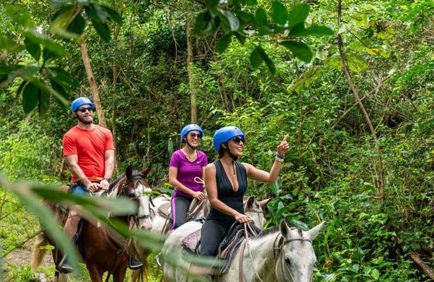 Samaná Horseback Riding Best El Limón Waterfall and Morón Beach
