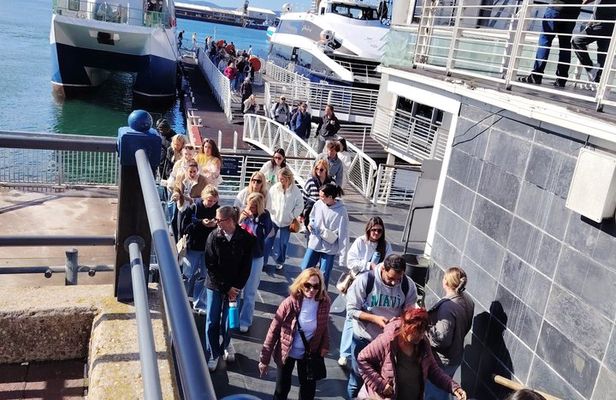 Cape Town Robben lsland Half Day Tour