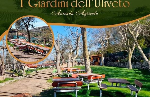 Lunch in Sorrento and Local Tasting in a Panoramic Limonet