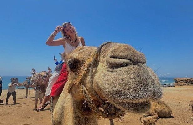 Tangier Express: 4-Hour Adventure