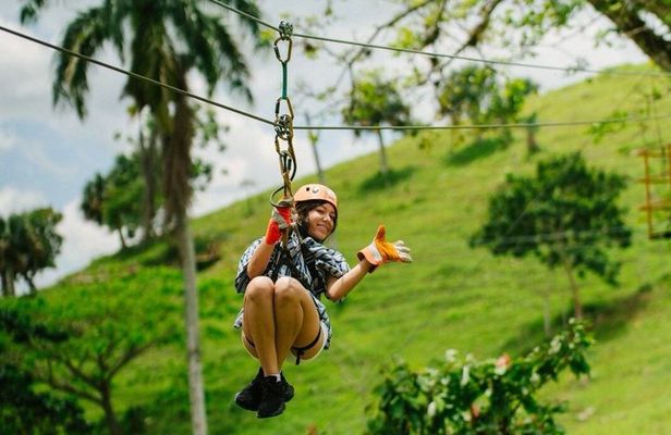 Tours Buggy and Horse and Zipline