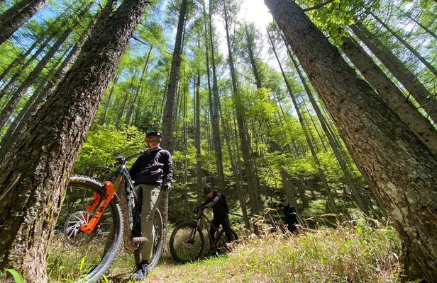 Osaka JaOsaka E-MTB Trail Ride: Katsuo-ji Temple & Pilgrim Trails