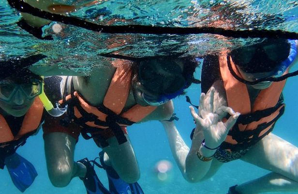 Snorkeling in Puerto Morelos Reef National Park