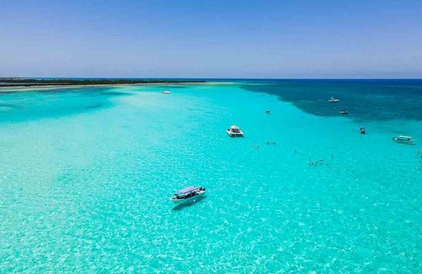 Top Cozumel Snorkel Experience: 4 Hours of Reefs & Island Dining