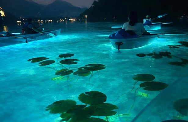 Transparent Kayak Tour with Local Guide on Lake Bled