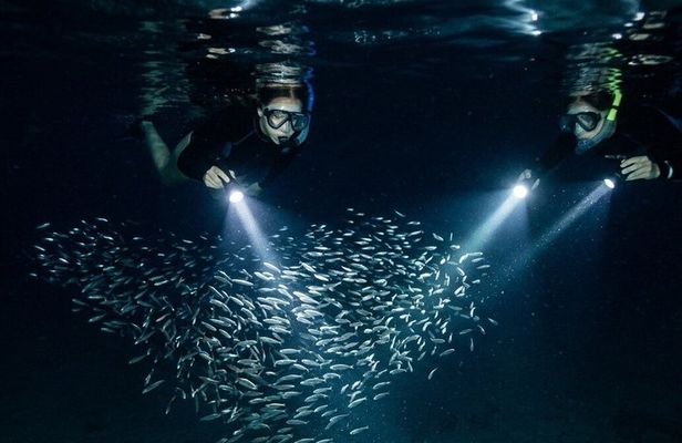 Night Snorkeling at Blue Heron Bridge – Guided Group Experience