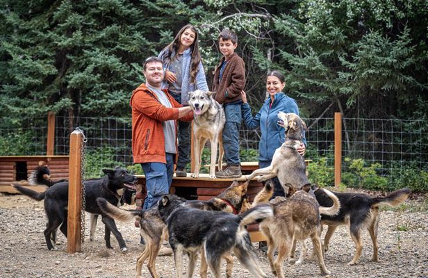 One and a Half Hour Private Summer Sled Dog Experience