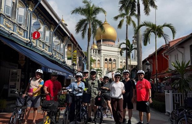 Singapore City Highlights Bike Tour (4-Hour Heritage Ride)