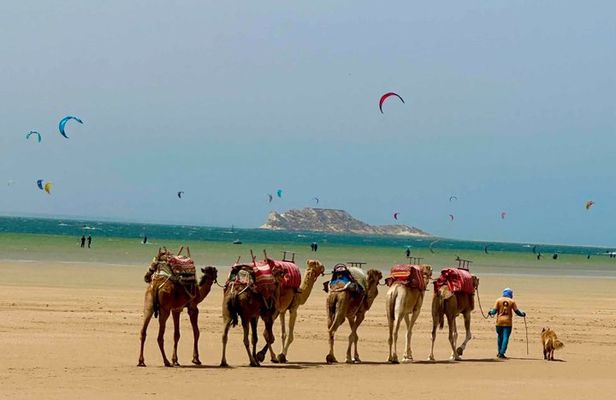 Camel Adventure Sahara Desert and Atlantic Coast