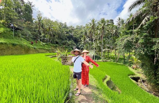 Bali private Shore Excursion from Benoa Port - All Inclusive