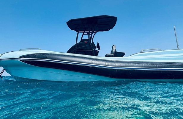 4 Hours Private Speed Boat To Dolphin House And White Island