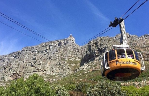 Table Mountain Cape of Good Hope and Boulders Beach Tour