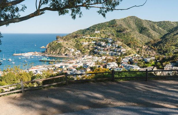 Scenic Golf Cart Tour Offered By Local Guides