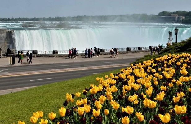 From Toronto to Niagara Falls Private Sightseeing Tour