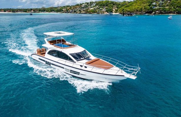 Bali to Nusa Penida: Premium Private Full Day Tour-All Inclusive
