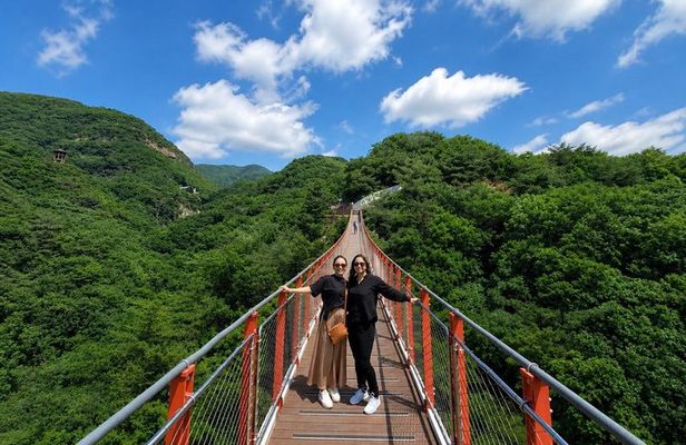 Small Group DMZ Highlight Tour MAX 10 with Suspension Bridge