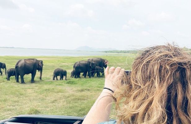 Explore Sri Lanka in 7 Nights 8 Days