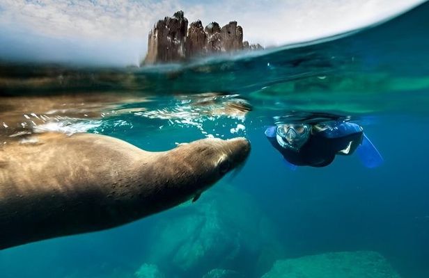 Espiritu Santo Island Tour with Sea Lion Snorkeling