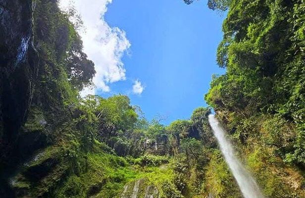 Mount Meru Waterfall, Coffee Plantation and Arusha City Tour